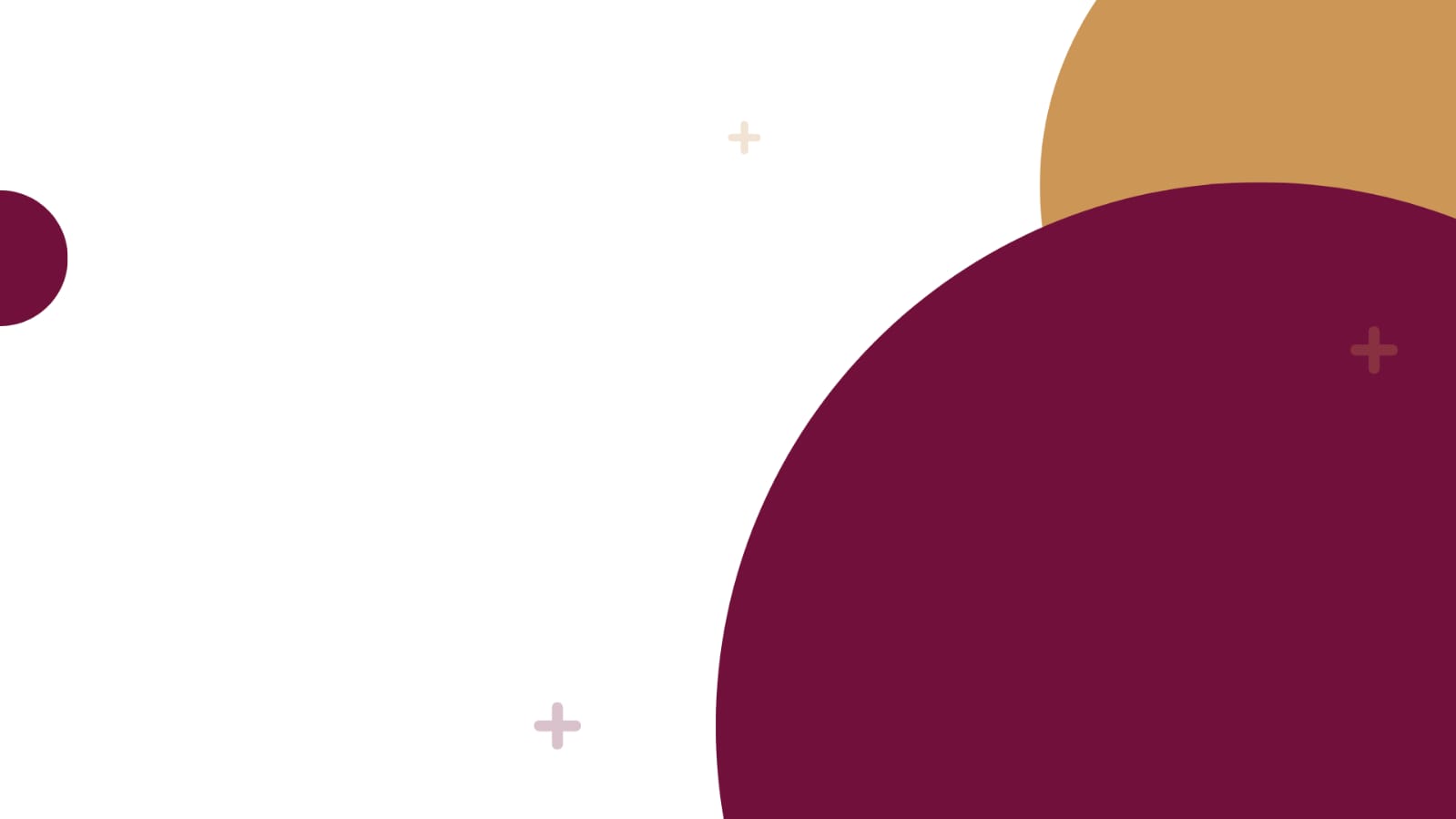 whatsapp image 2026 02 07 at 2.04.38 pm